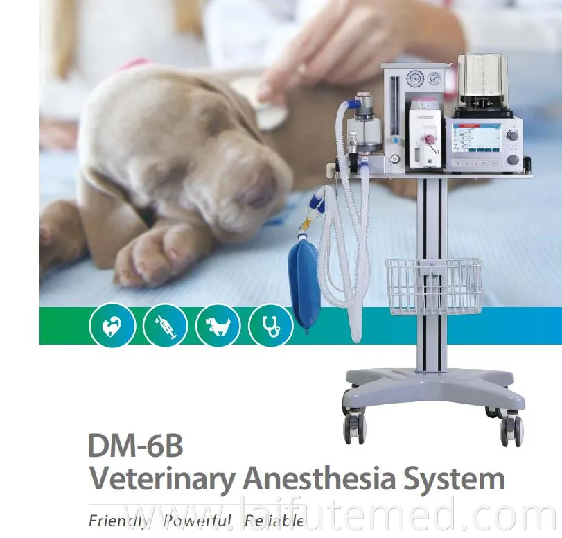 Low Price Good Quality Door Veterinary Monkey Stainless Steel Large Medical Animal Pet Clinic Hospital Dog Cat Animal Vet Oxygen Therapy ICU Cage China Supplier